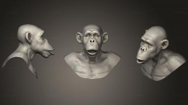 3D model Monkey (STL)